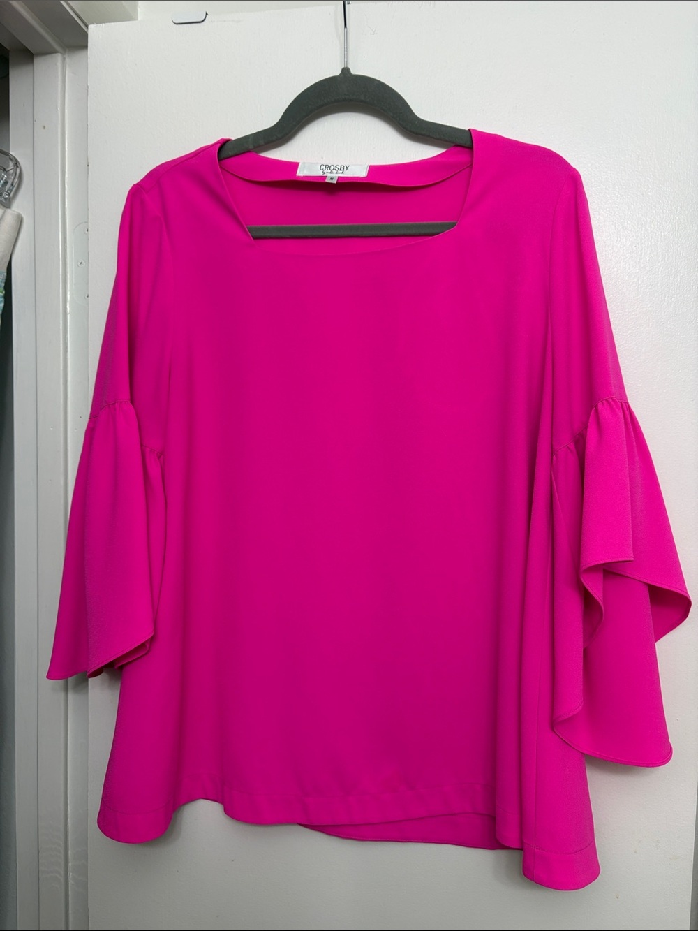 CROSBY by Mollie Burch Fuchsia Ruffle-Sleeve Blouse